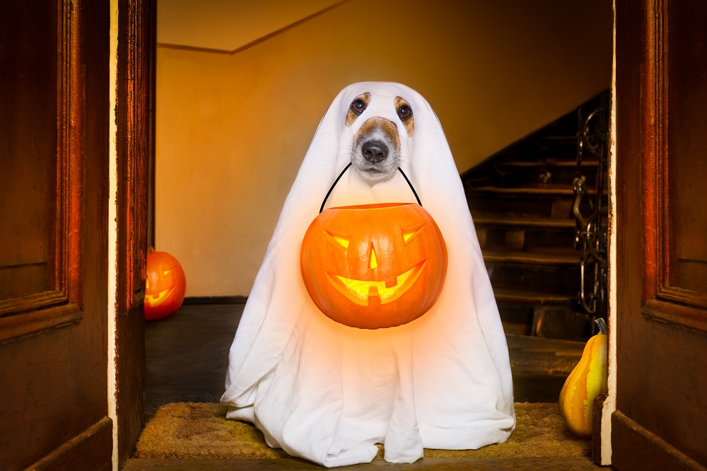 3 Scary SEO Errors You Should Fix Now